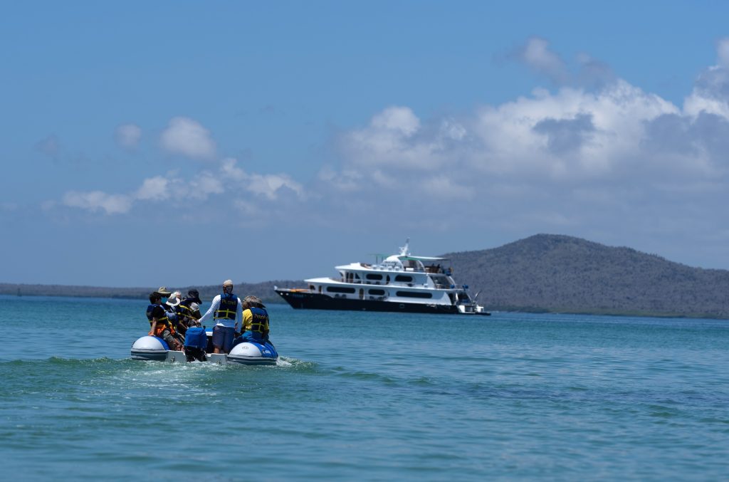 Capturing the Enchanted Isles: 11 Must-Take Galapagos Photos