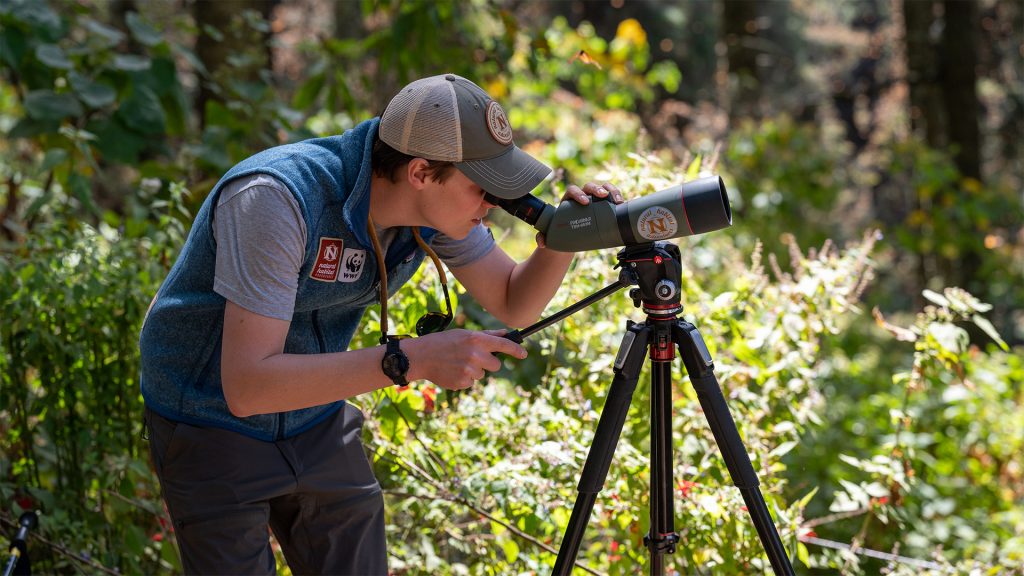 10 Tips to Improve Your Wildlife & Nature Photography